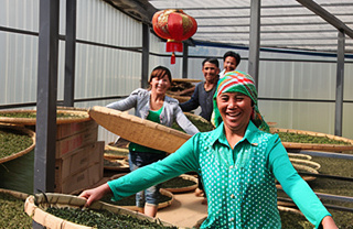 Photo Xiaohusai Tea Village