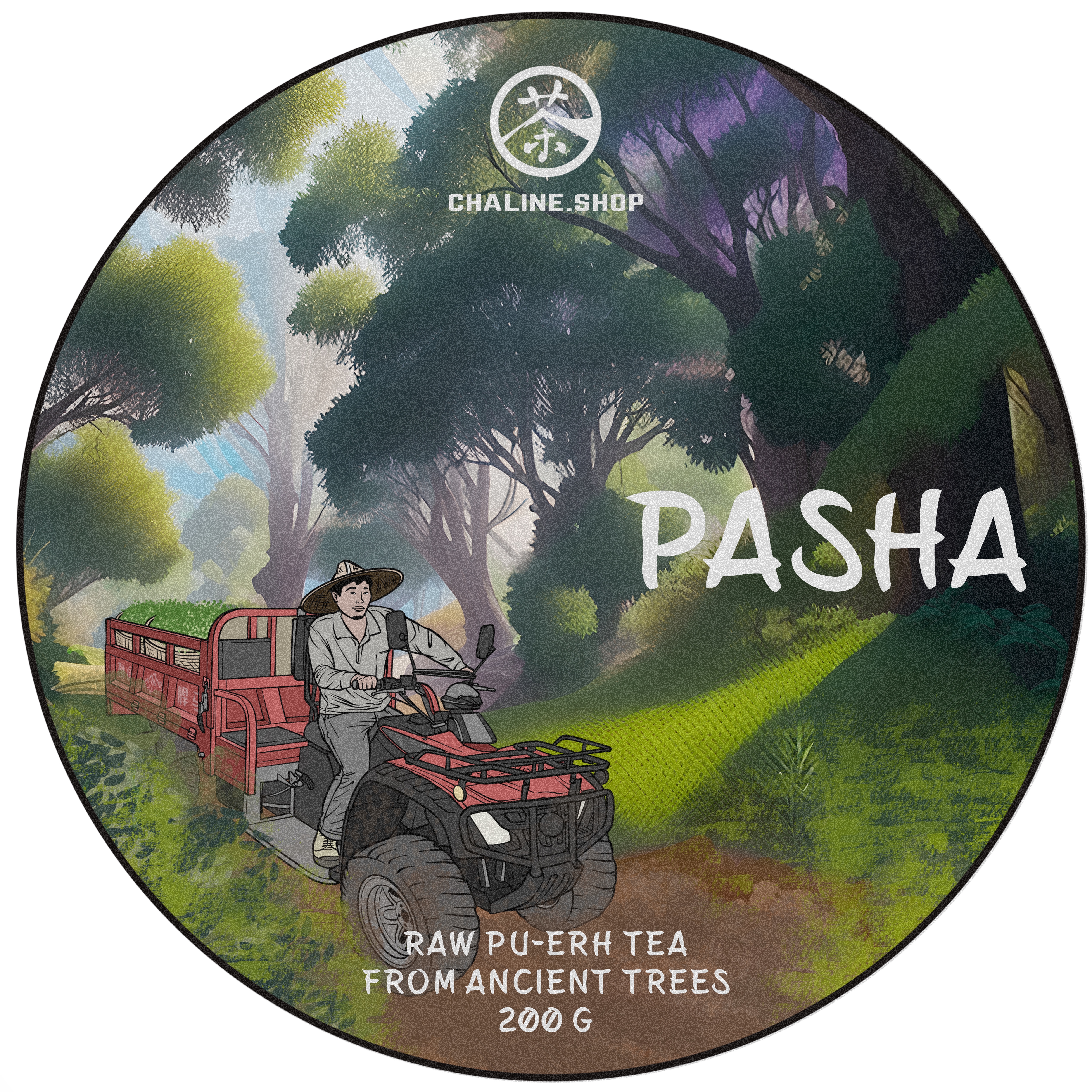 Pressed Raw Pu-erh Tea - Шэн пуэр со старых деревьев гор Паша марки "Чайная Линия" 200 г