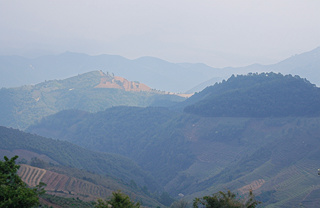 Photo Tea Mountains Dahusai (Mengku)