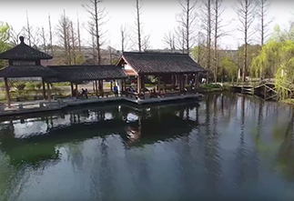 Image Aerial view of West Lake and Longjing Village