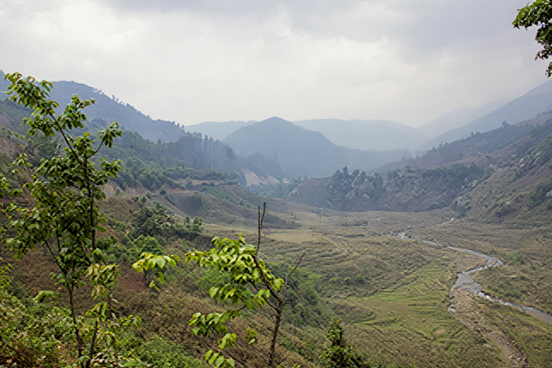 Photo Bindao Tea Region
