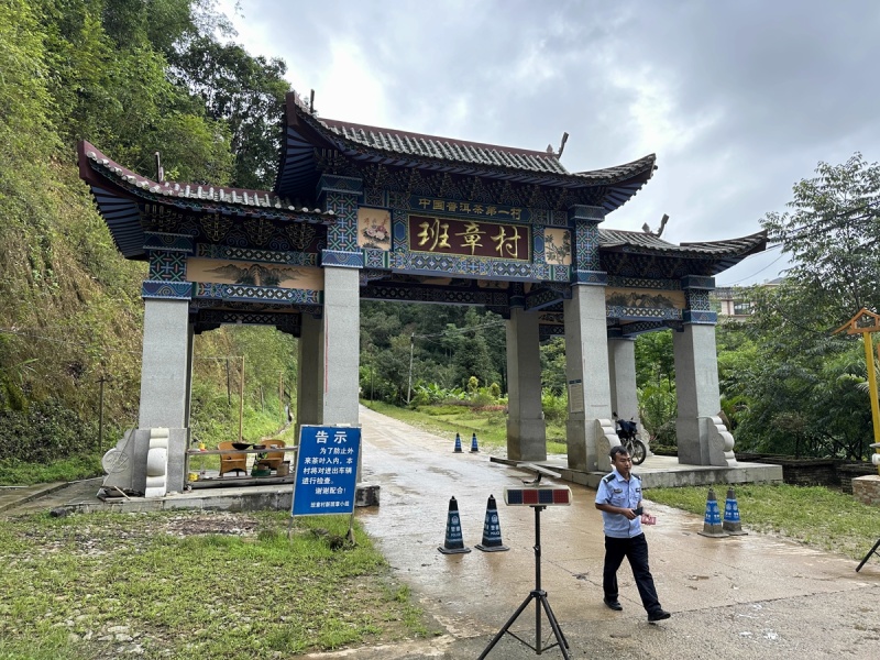 Tea Geography - Pu'er Banzhang: Legendary tea from the Bulan Mountains