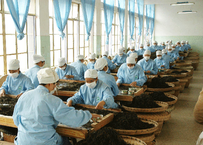 Xiaguan Tea Factory. Xiaguan