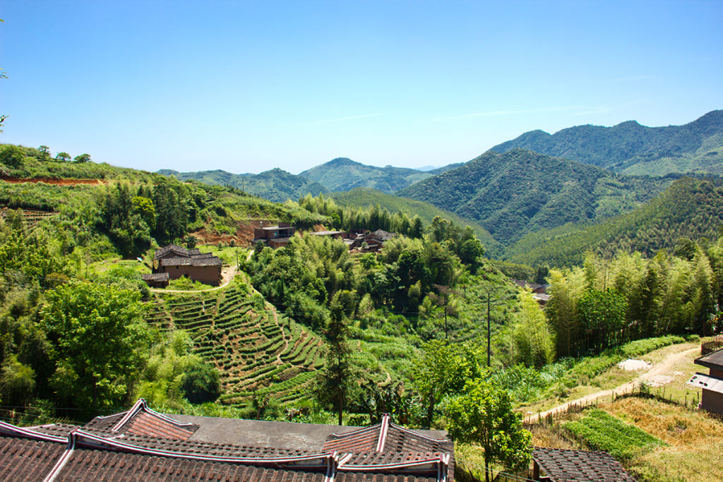 Чай Те Гуань Инь