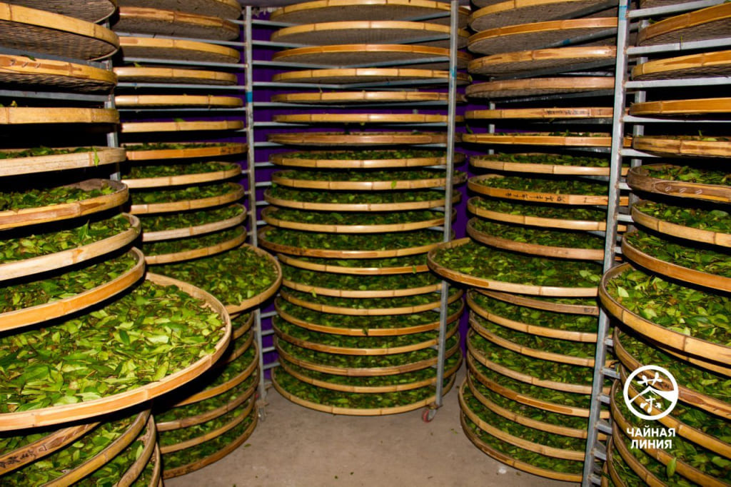 Те Гуань Инь