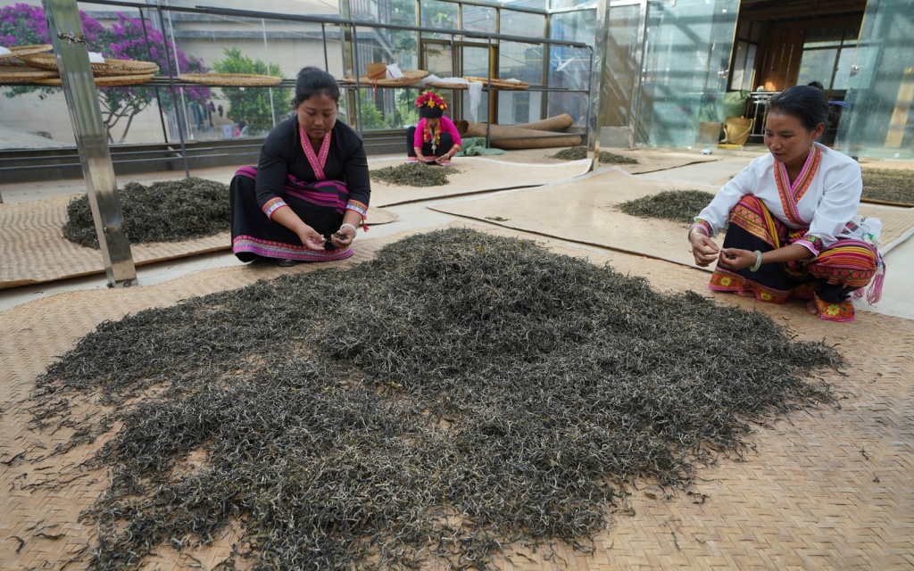 Lao Man E Tea Region Чайный регион Лао Мань Э