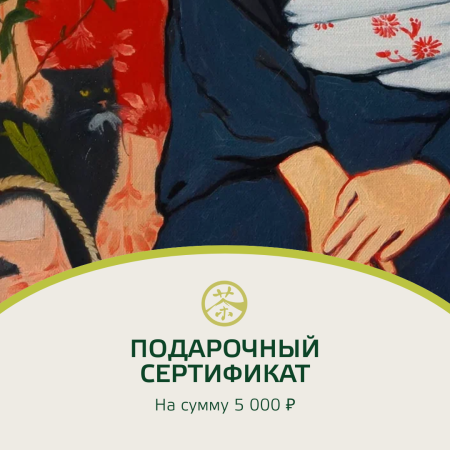 Electronic gift certificate for 5,000 rubles|Gift certificates