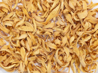 Orange tree petals|Flowers of plants