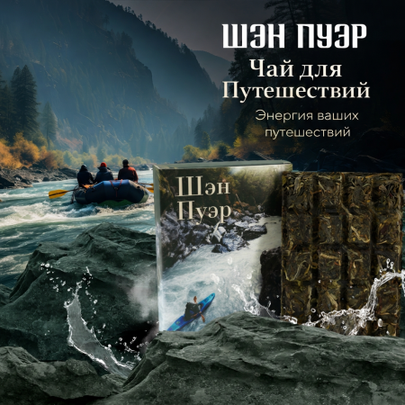 Pressed Raw Pu-erh Tea - Sheng pu-erh Travel tea "Raw pu-erh tea", 70 g, 