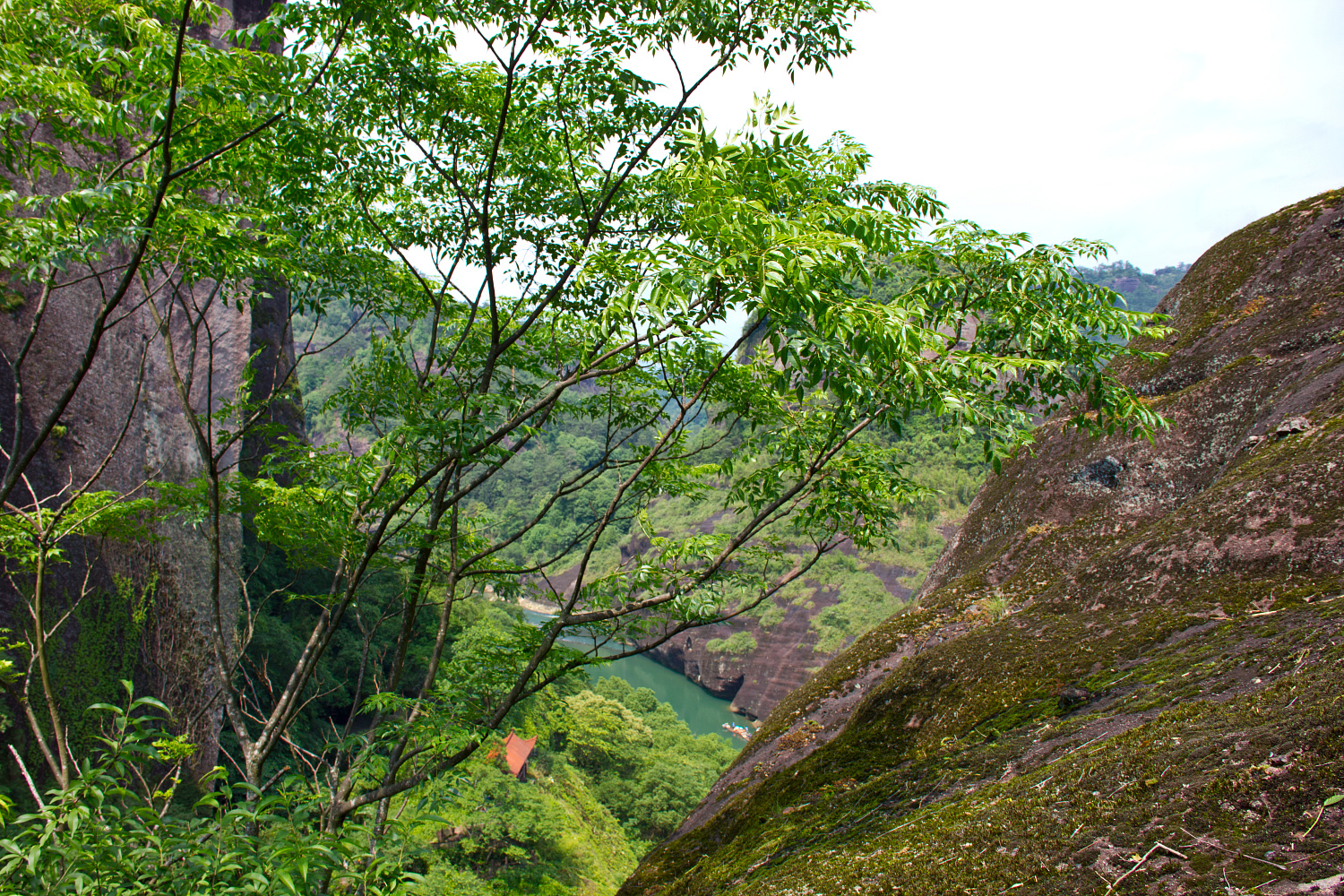 Tea region of the Wuyi Mountains