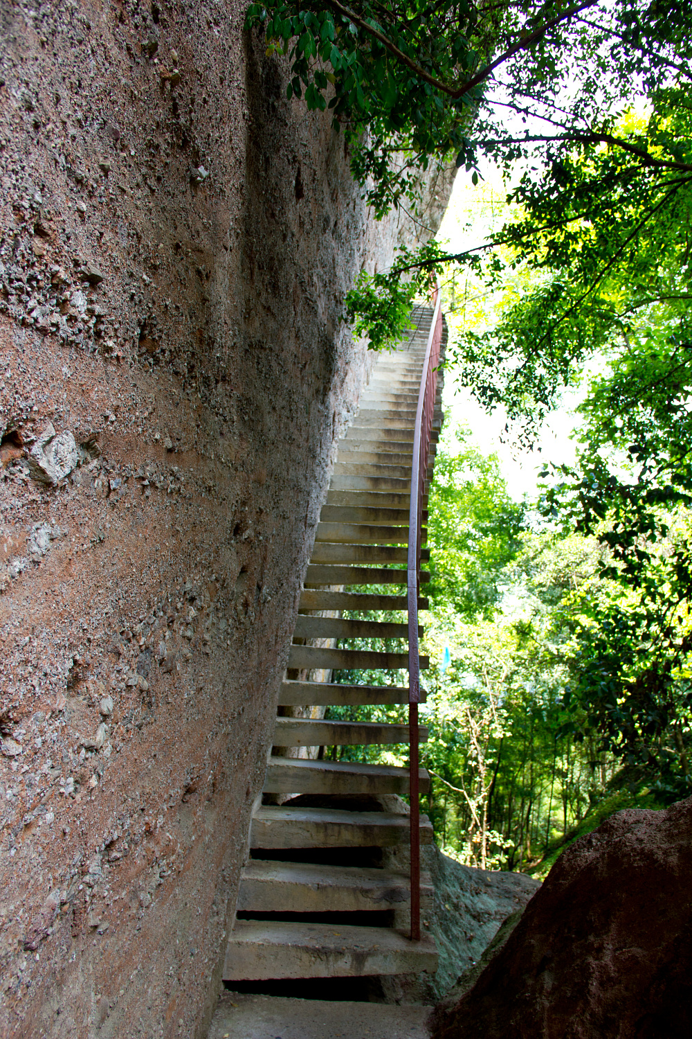 Tea region of the Wuyi Mountains