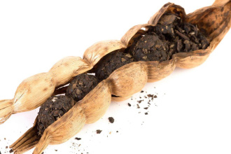 Dark Tea (Hei cha) - Black tea "Zhuke cha" or tea in a bamboo shell 25 g, 