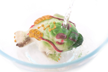 "Little Jade Toad", a tea toy. Price: ₽1,420 rub.