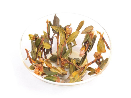 Sagan-Daylya with a flower|Herbal tea