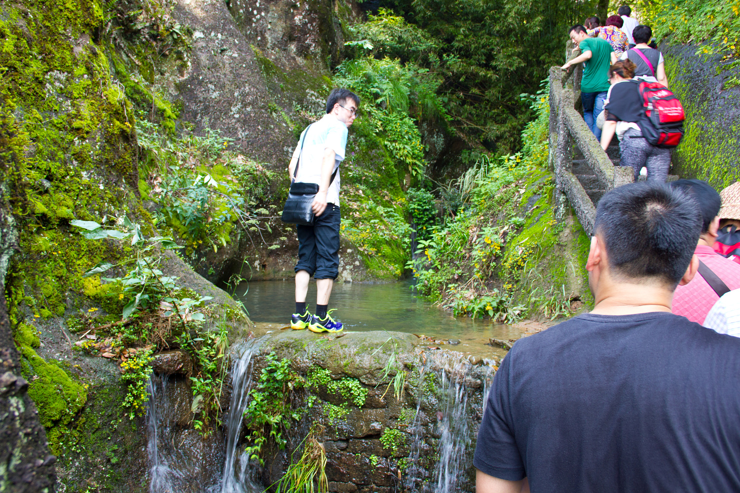 Tea region of the Wuyi Mountains