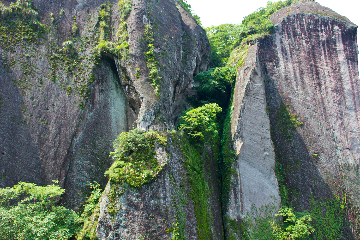 Tea region of the Wuyi Mountains