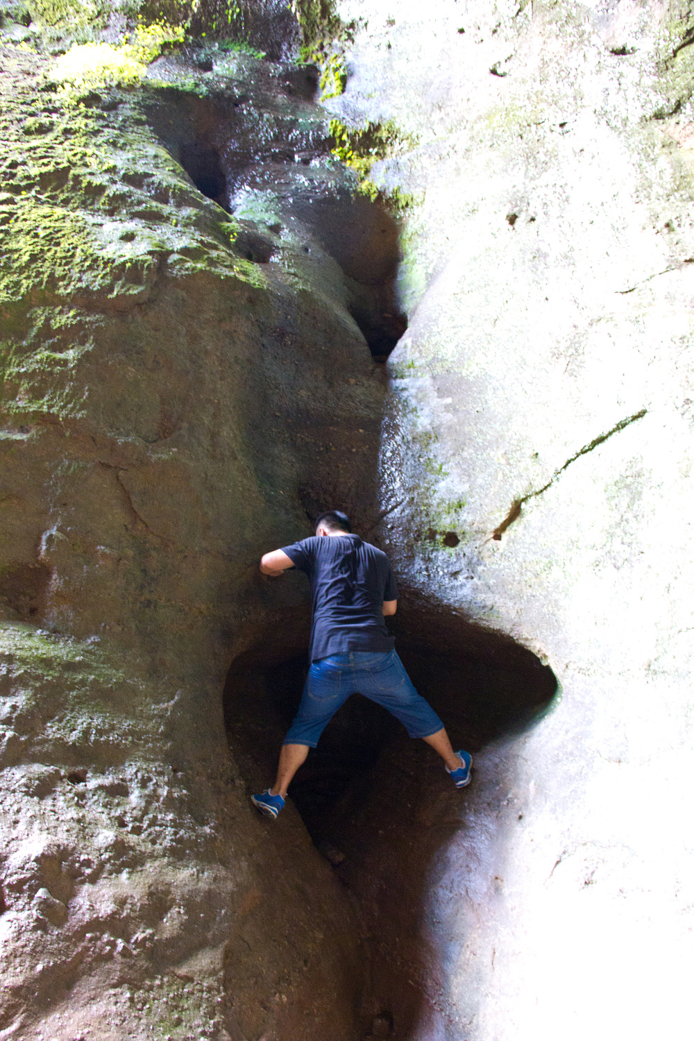 Tea region of the Wuyi Mountains