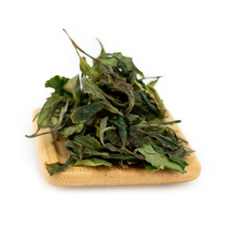 Buy, white tea Sochi April white tea tips | 白茶
