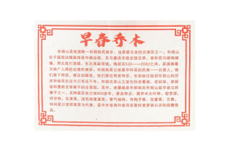 Pressed Raw Pu-erh Tea - Sheng Pu'er 2019 "Tall Trees in Early Spring" from the Datan factory, 357 g, 