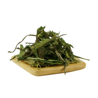 Buy, white tea Bai Mudan (White Peony) | 白茶