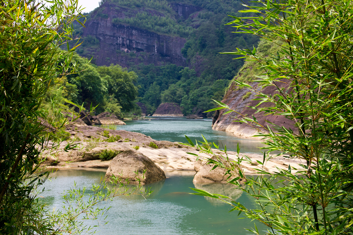 Tea region of the Wuyi Mountains