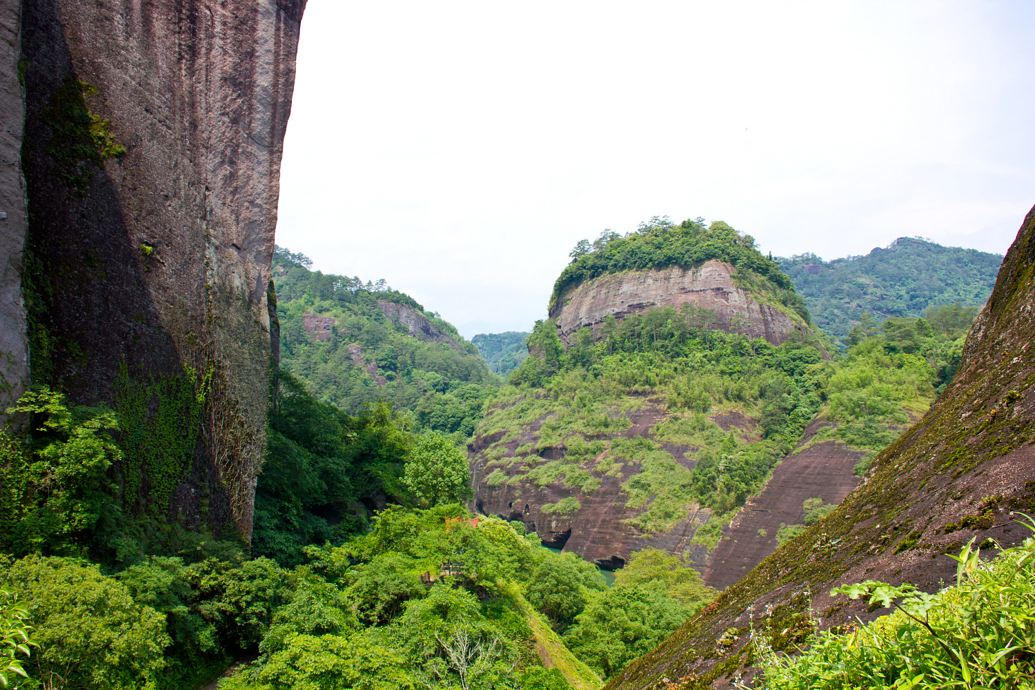 Tea region of the Wuyi Mountains