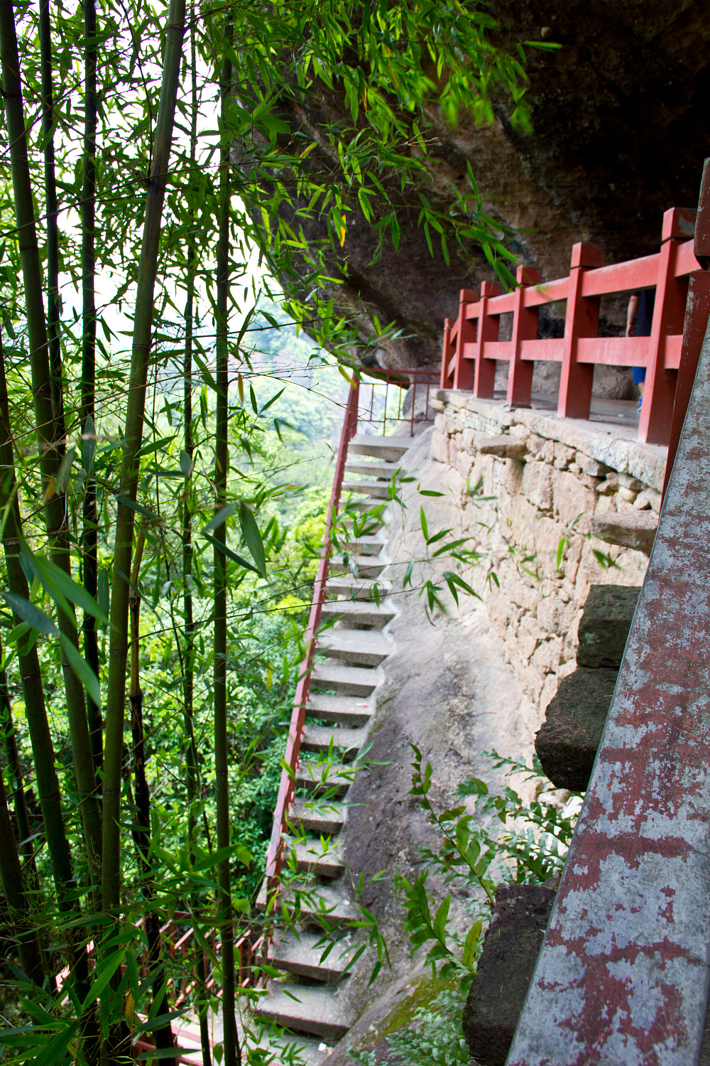 Tea region of the Wuyi Mountains