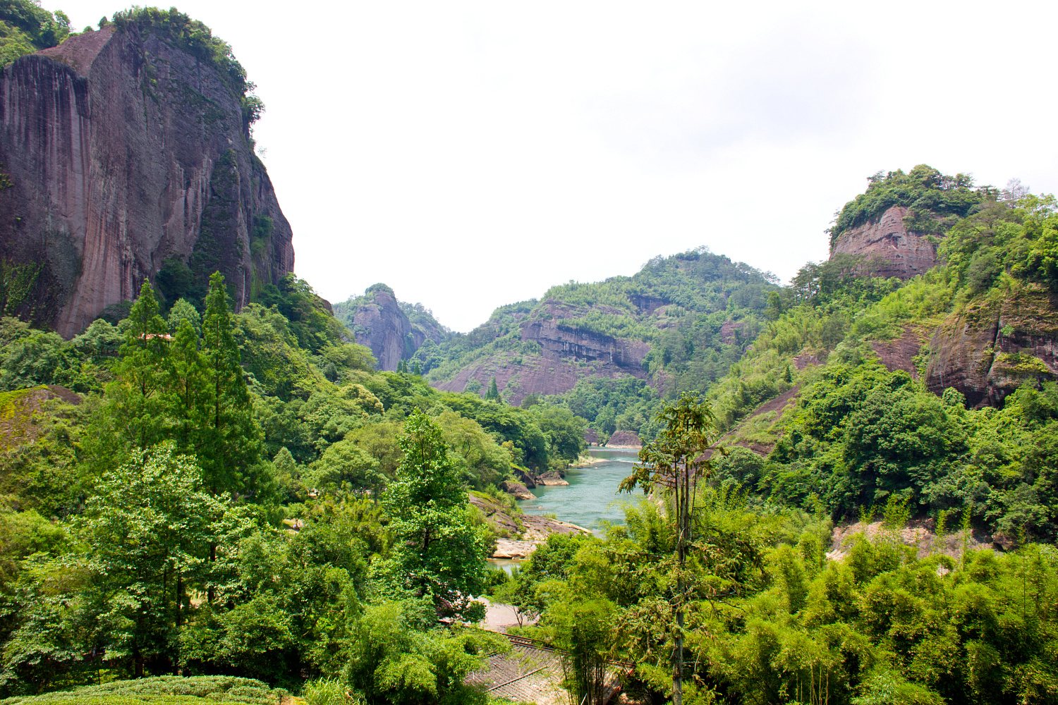 Tea region of the Wuyi Mountains