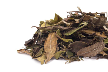 Buy, white tea 2021 White Tea from Daezhong Pu'er Trees in Yiwu