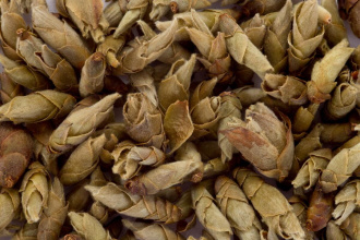 Loose Leaf Pu-erh Tea - Chae Ya Bao (Tea Buds from Pu-erh Trees), 