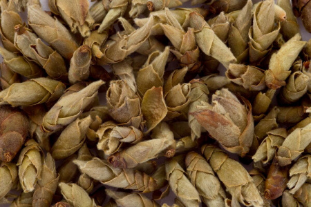 Loose Leaf Pu-erh Tea - Chae Ya Bao (Tea Buds from Pu-erh Trees), 