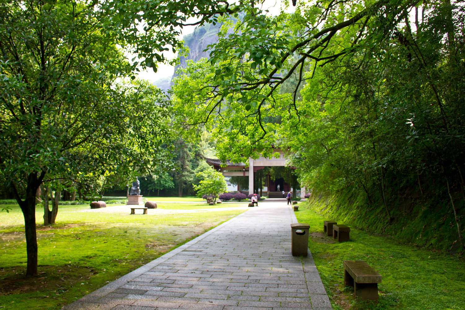 Tea region of the Wuyi Mountains