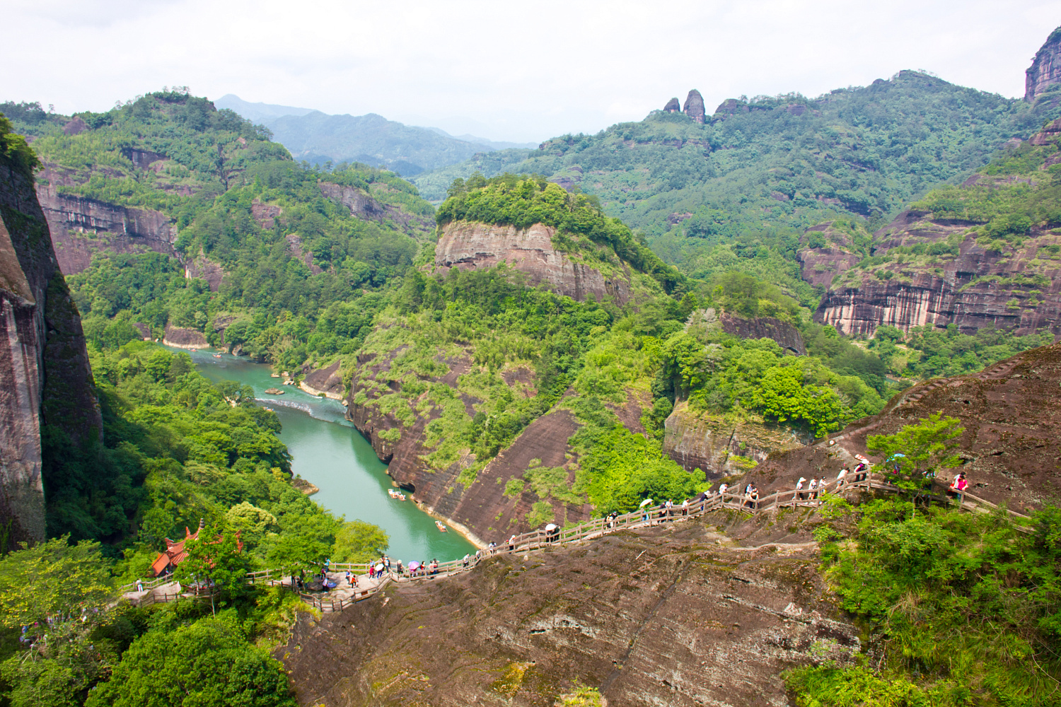 Tea region of the Wuyi Mountains