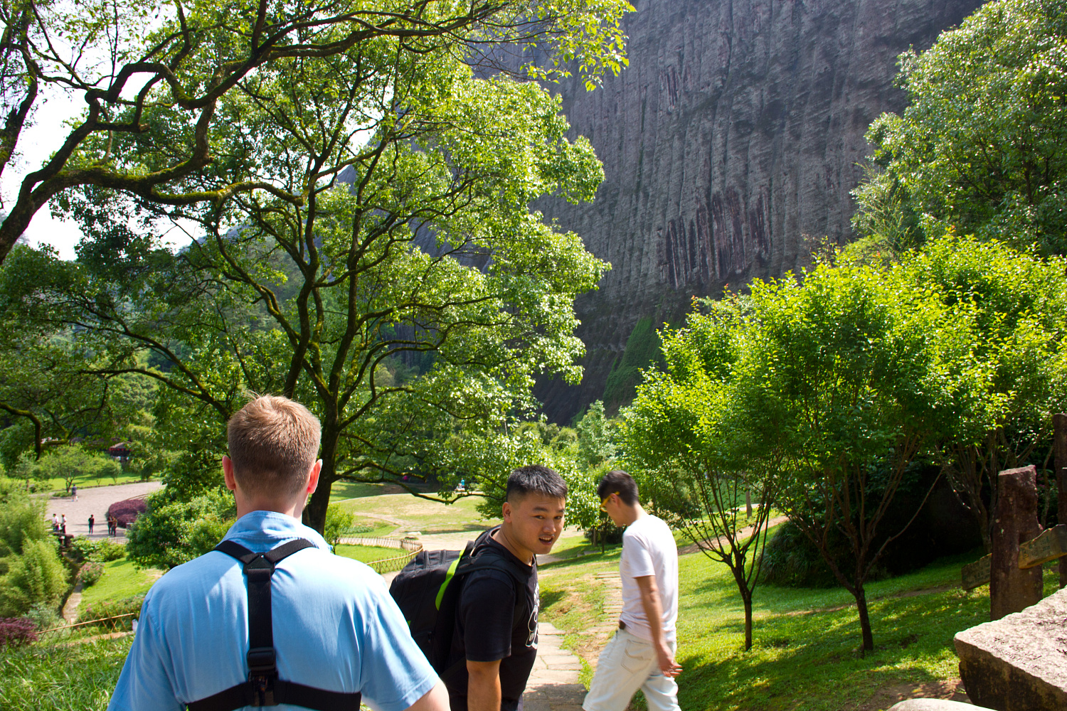 Tea region of the Wuyi Mountains