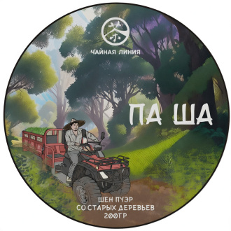 Pressed Raw Pu-erh Tea - Sheng pu-erh from ancient trees of the Pasha Mountains, brand "Tea Line", 200 g