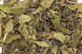 Buy, white tea Chun Gong (Spring Gift or Spring Offering)