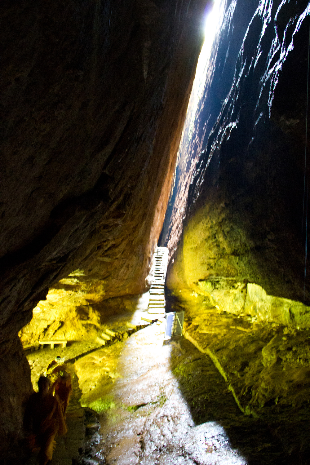 Tea region of the Wuyi Mountains