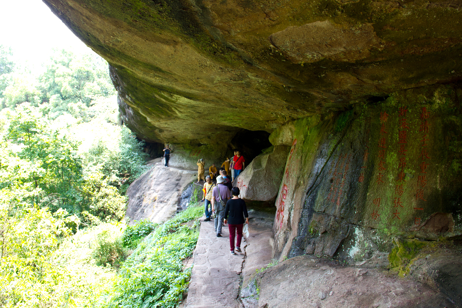Tea region of the Wuyi Mountains