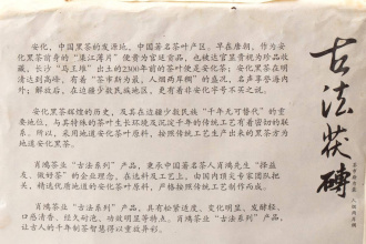 Dark Tea (Hei cha) - Heicha 2011, 900 g, 