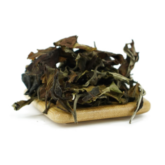 Buy, white tea Lao Shu Bai Tea 2023 Nanben Laozhai Laoshu (from old trees from Nanben Laozhai) | 白茶