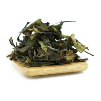 Buy, white tea Sochi White Tea | 白茶
