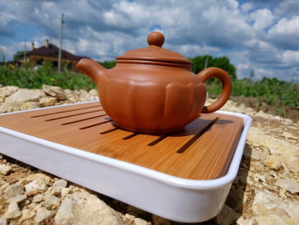 Ceramic teapot from Yixing, Jiangsu "Padma", 180 ml.. Price: ₽8,880 rub.