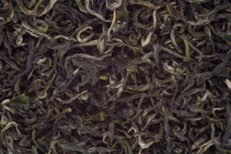 Green tea Shouning Ye Sheng Liu Cha (Wild Highland Green Tea from Shouning County)