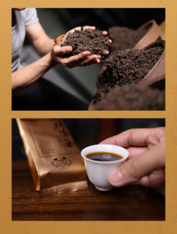 Loose Leaf Pu-erh Tea - Shu pu-erh "Fuyan cha" brand "Mr. Eighteen" (Mr. Eighteen) raw materials from the early 2000s, 10 g packaging, 