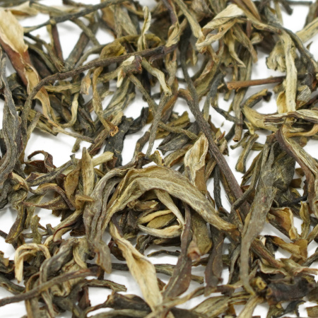 Loose Leaf Pu-erh Tea - Sheng Puer 2023 from Lincang, 