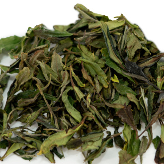 Buy, white tea Sochi April white tea tips