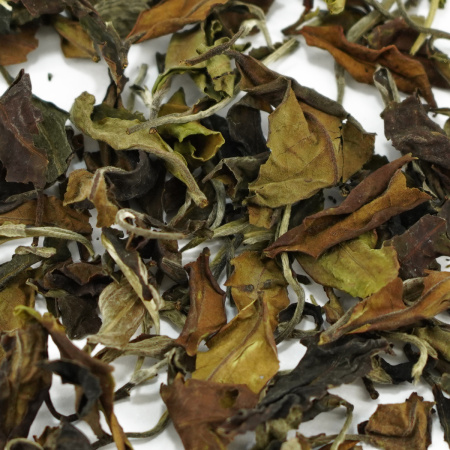 Buy, white tea Lao Shu Bai Tea 2023 Nanben Laozhai Laoshu (from old trees from Nanben Laozhai)