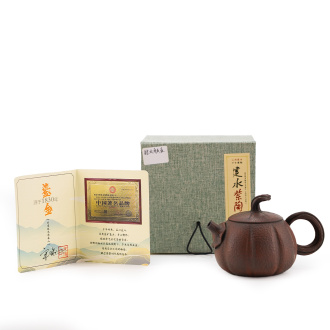 Глиняный чайник из Циньчжоу, Гуанси "Экватор". Price: ₽10,360 rub.