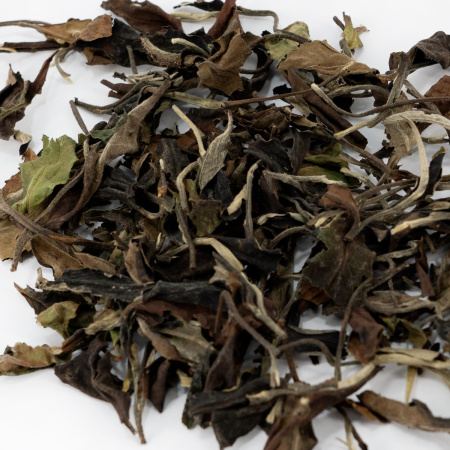 Buy, white tea Jingmai gushu bai cha (White tea from ancient puer trees of the Jingmai Mountains)