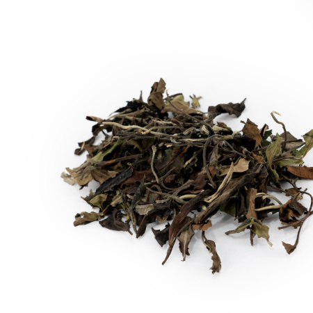 Buy, white tea Jingmai gushu bai cha (White tea from ancient puer trees of the Jingmai Mountains)